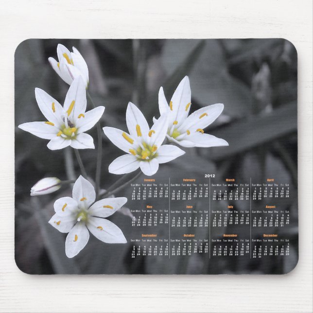 Wildblomskluster Photography 2012 Calendar Musmatta (Framsidan)