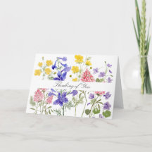 Wildblomskort
