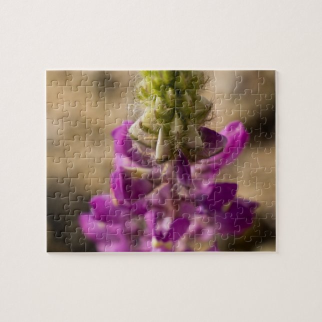 Wildblomskpuzzel 4 pussel (Horisontell)