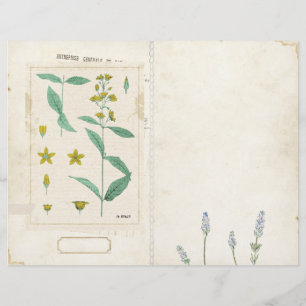 Wildblomssegmentet Journal Page Front/Back Vintage