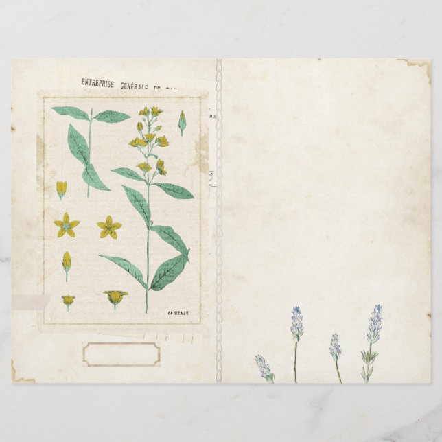 Wildblomssegmentet Journal Page Front/Back Vintage (Framsida)