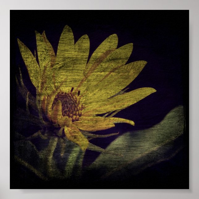 Wildblomsterruta Poster (Framsidan)