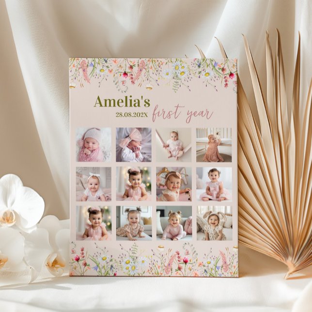 Wildblomsterträdgården första året - fotmilstolpst poster (Skapare uppladdad)