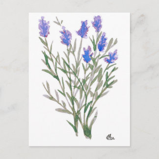 Wildblomstervykort Vykort