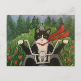 Wildboy Rides Again Vykort