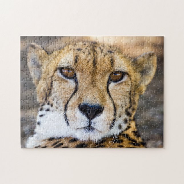 Wildcat Cheetah Leopard Wildlife Nature Pussel (Horisontell)