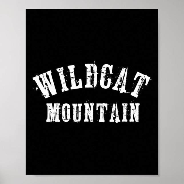Wildcat Mountain Grungy Rustic Artisian Modig Skid Poster (Framsidan)