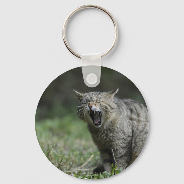 Wildcat Nyckelring (Framsida)