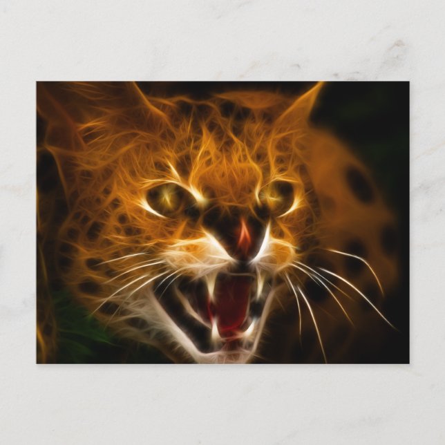 Wildcat Vykort (Framsida)