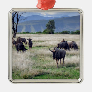 Wildebeest-besättning Julgransprydnad Metall