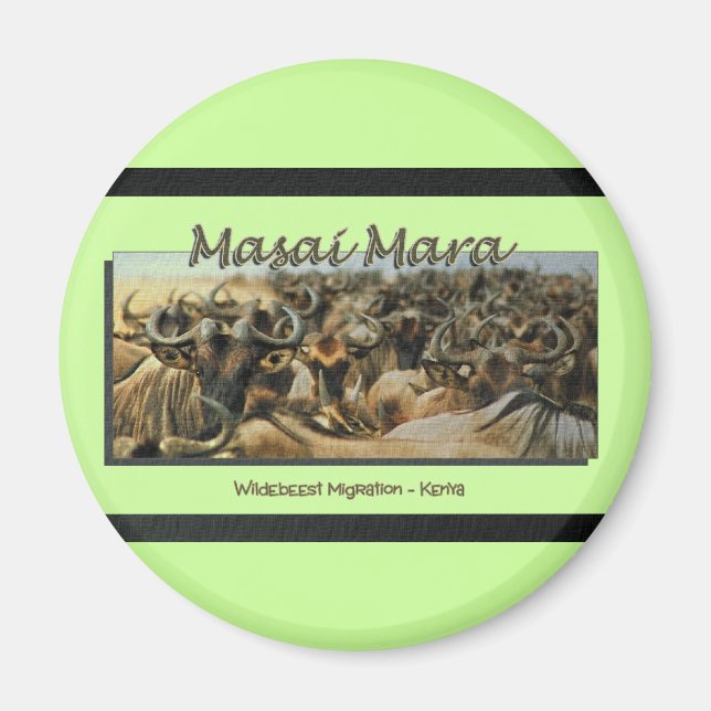 Wildebeest / Gnu-migration, safari magnets Magnet (Framsidan)