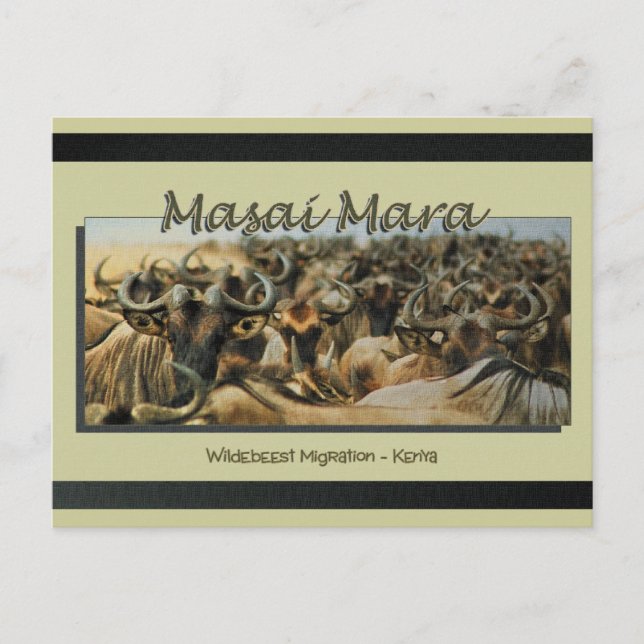 Wildebeest/gnu-migrering, safari-vykort vykort (Framsida)