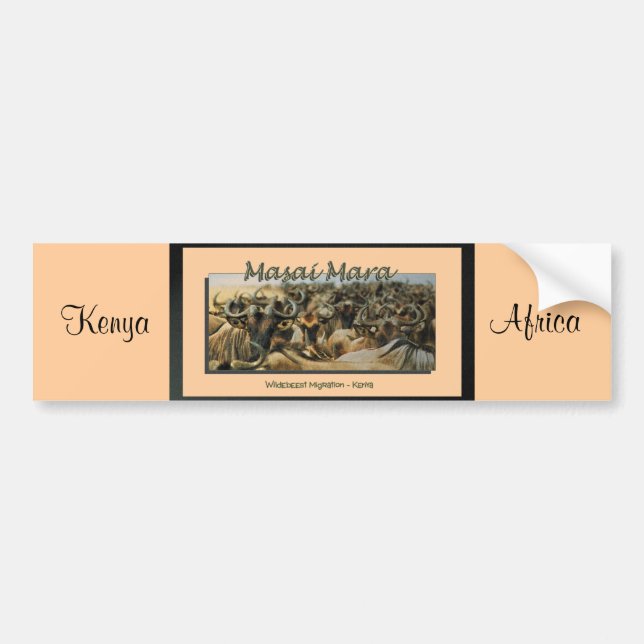 Wildebeest-/gnuflyttning, safaribildekal bildekal (Framsidan)