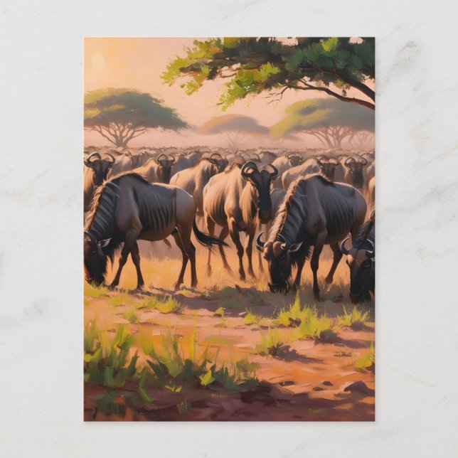 Wildebeest i savannah vykort (Framsida)