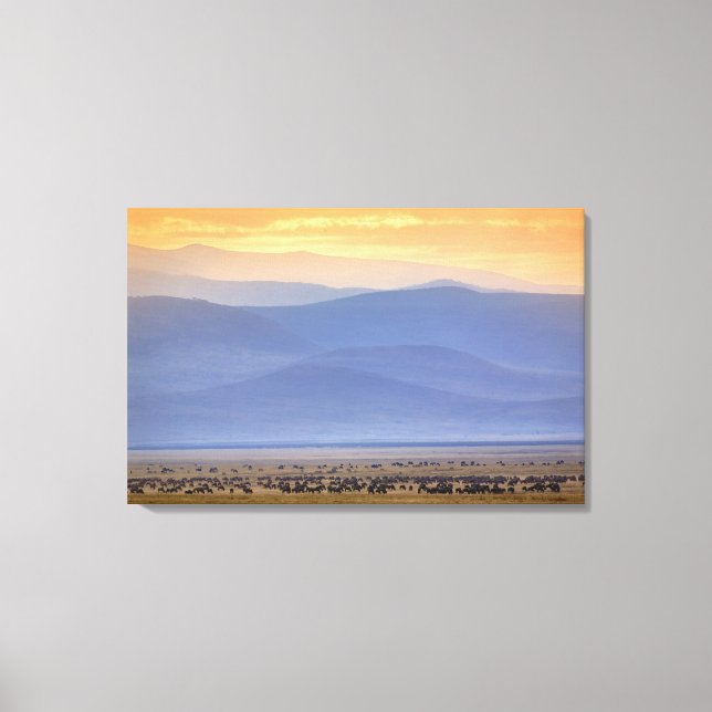 Wildebeest under migrering, Connochaetes Canvastryck (Framsida)