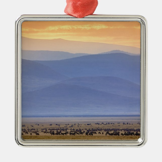 Wildebeest under migrering, Connochaetes Julgransprydnad Metall (Framsidan)