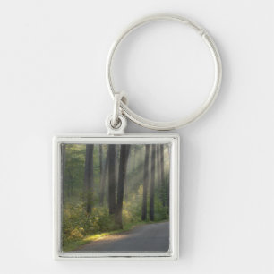 Wilderness Drive, Itasca State Park, Fyrkantig Silverfärgad Nyckelring