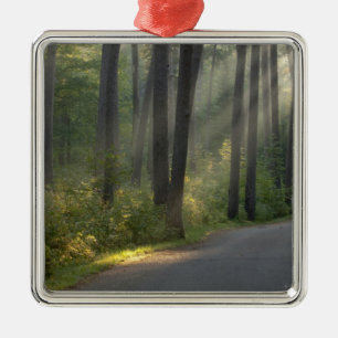 Wilderness Drive, Itasca State Park, Julgransprydnad Metall