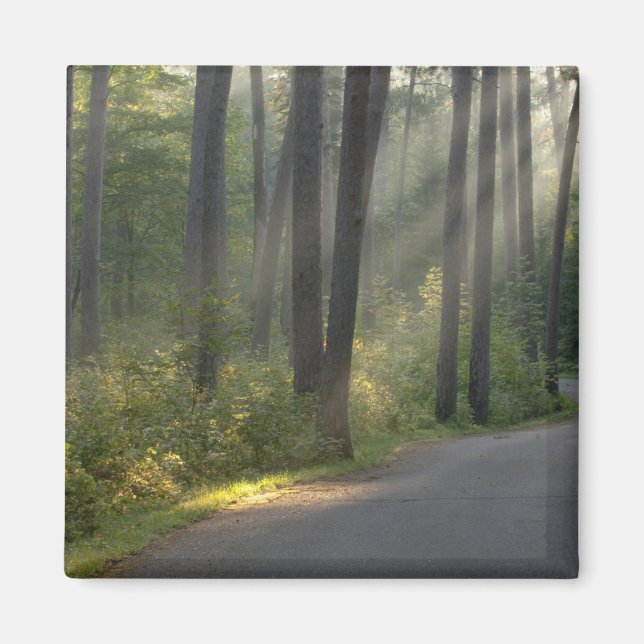 Wilderness Drive, Itasca State Park, Magnet (Framsidan)