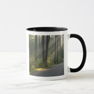 Wilderness Drive, Itasca State Park, Mugg
