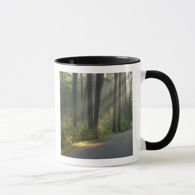 Wilderness Drive, Itasca State Park Mugg (Höger)