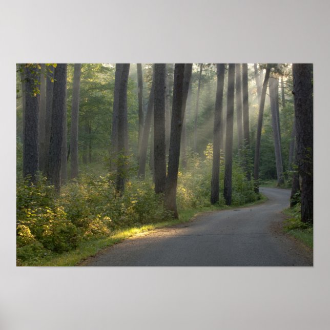 Wilderness Drive, Itasca State Park Poster (Framsidan)