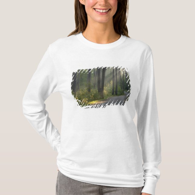 Wilderness Drive, Itasca State Park Tee Shirt (Framsida)
