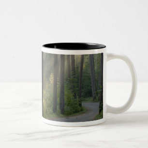 Wilderness Drive, Itasca State Park, Två-Tonad Mugg