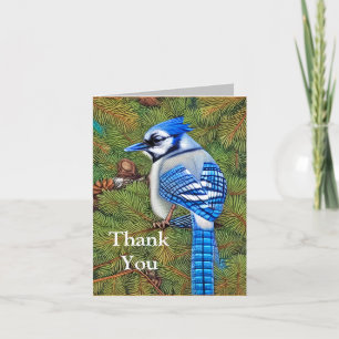 Wilderness Evergreen Blue Jay Tack Kort