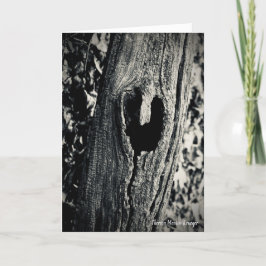 Wilderness-hörarkort Tack Kort