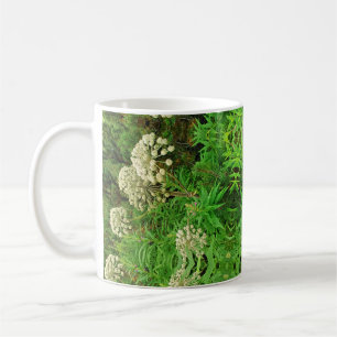 Wilderness, Natur, Plants Photography Mugg
