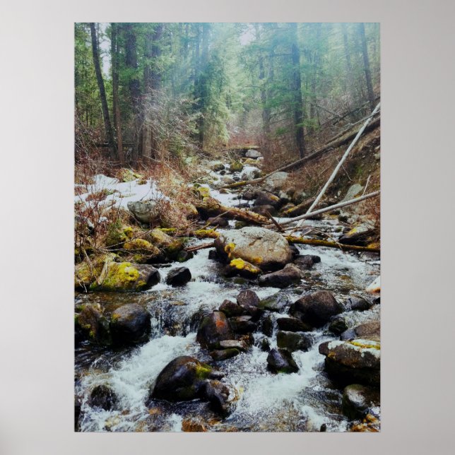 Wilderness Print Poster (Framsidan)