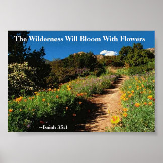 Wilderness ska bloom Isaiah 35:1 Poster