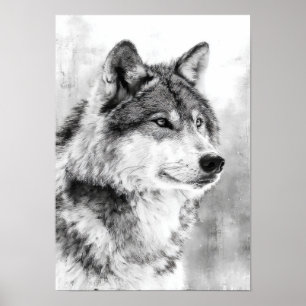 Wilderness Spirit - Grå Varg Fin Konst Skiss Poster