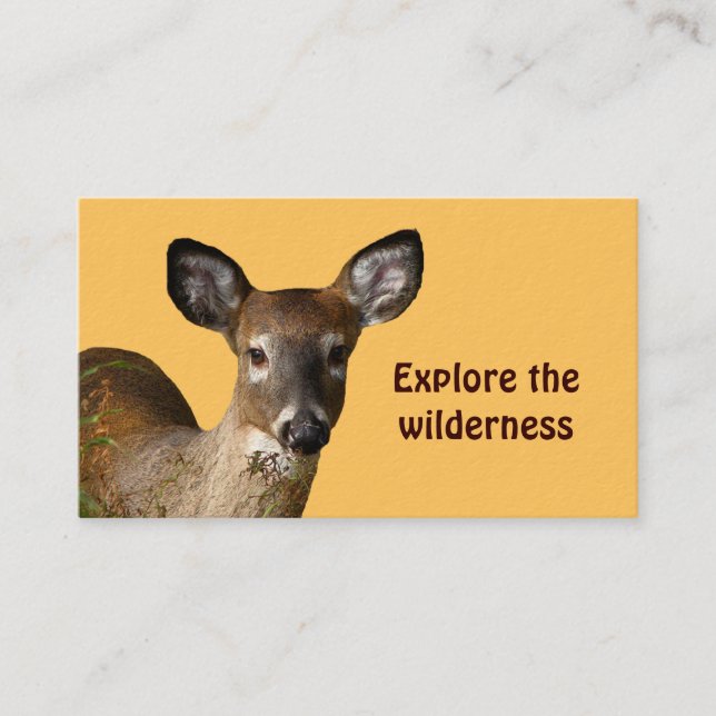 Wilderness Tours Visitkort (Framsida)