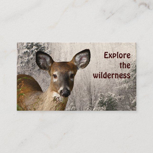 Wilderness Tours Visitkort (Framsida)