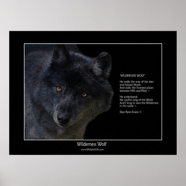 WILDERNESS VARG Wildlife Supporter Poster med dikt (Framsidan)