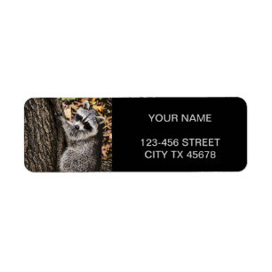 Wilderness Vild Raccoon Returadress Etikett