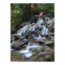 Wilderness Waterfall