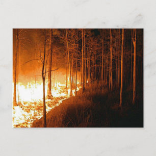 Wildfire Blaze Vykort