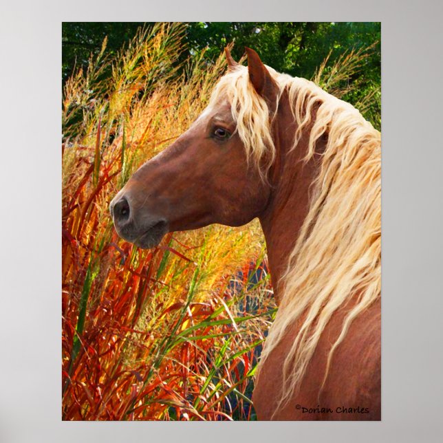 "Wildfire" Poster (Framsidan)