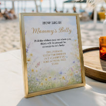 Wildflower Belly Guess Baby in Bloom Game