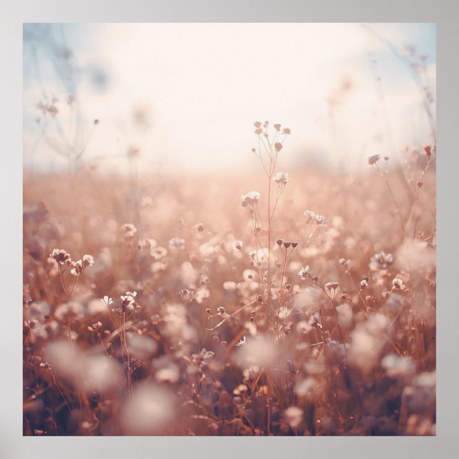 Wildflower Dreamscape  Poster (Framsidan)