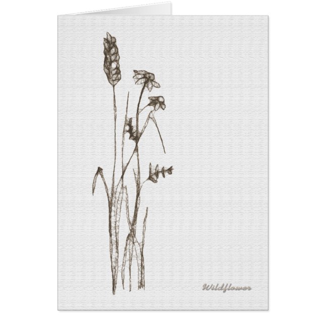 Wildflower Hälsningskort (Framsidan)