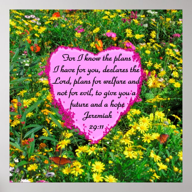 WILDFLOWER JEREMIAH 29:11 PHOTO POSTER (Framsidan)