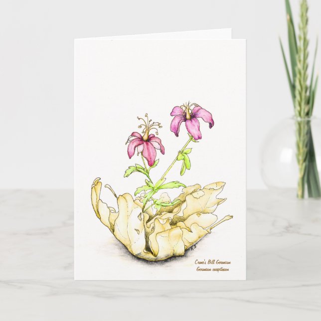 Wildflower watercolor geranium greeting card kort (Framsida)