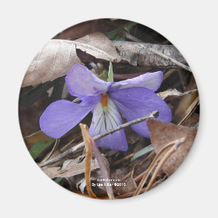 WildFlowers Birds-Foot Violet Hett Vår AR Gifts Magnet