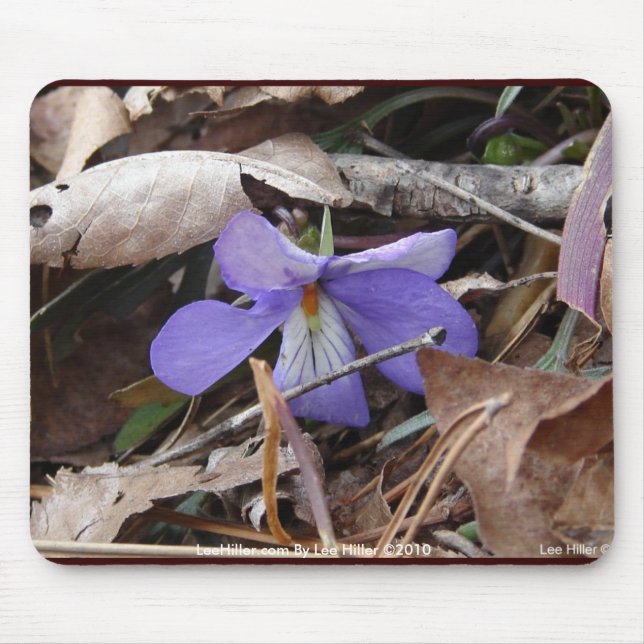 WildFlowers Birds-Foot Violet Hett Vår AR Gifts Musmatta (Framsidan)