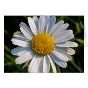 WILDFLOWERS CARD HÄLSNINGSKORT