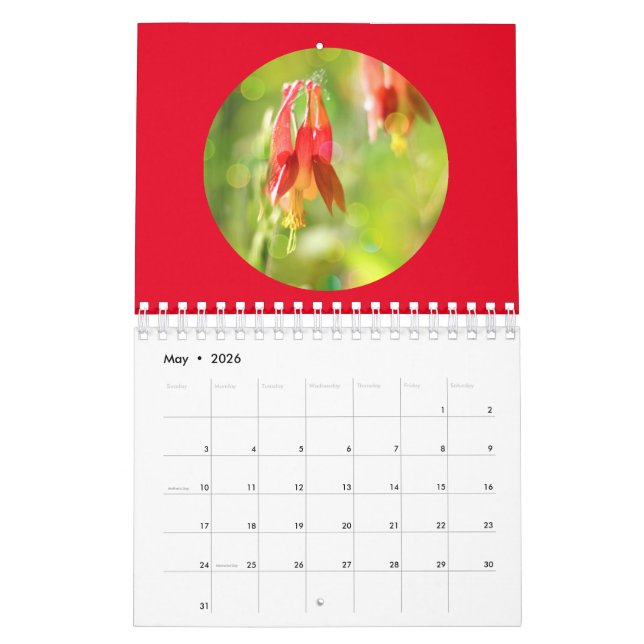 Wildflowers Close-Up Forest Photography Kalender (May 2026)